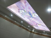 洗浴软膜 